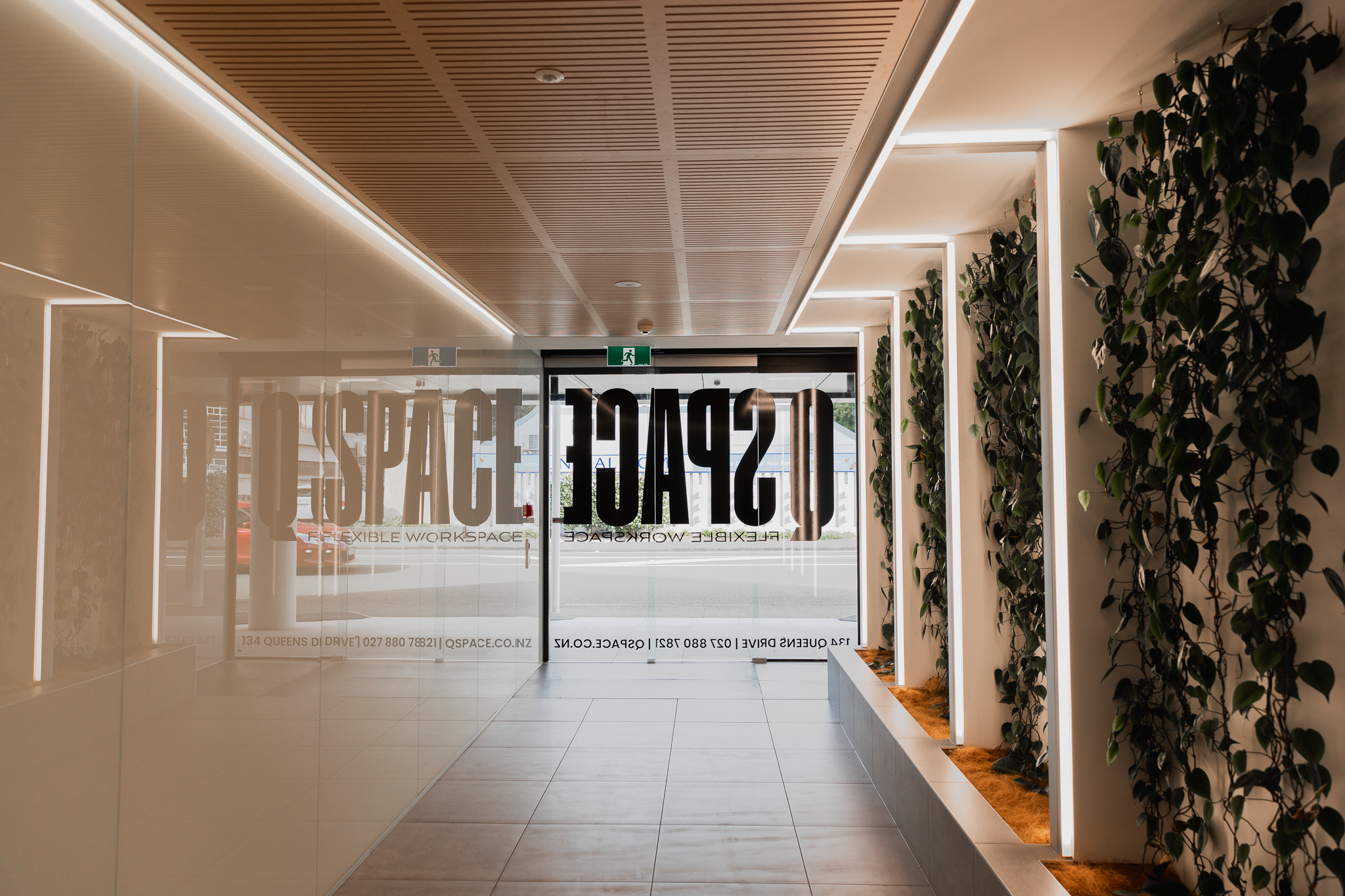 Q Space hallway with room signage and greenery